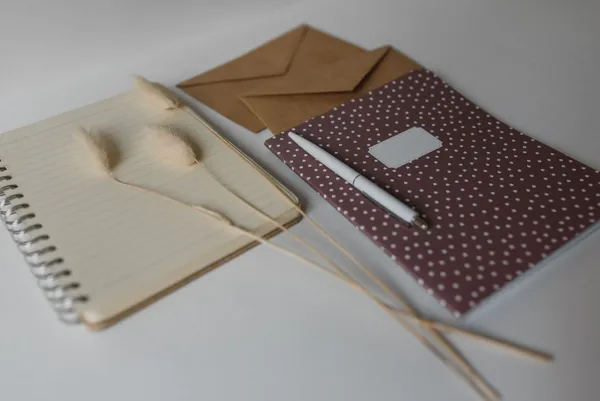 Spiral notebooks, a pen and brown envelopes on a light table.